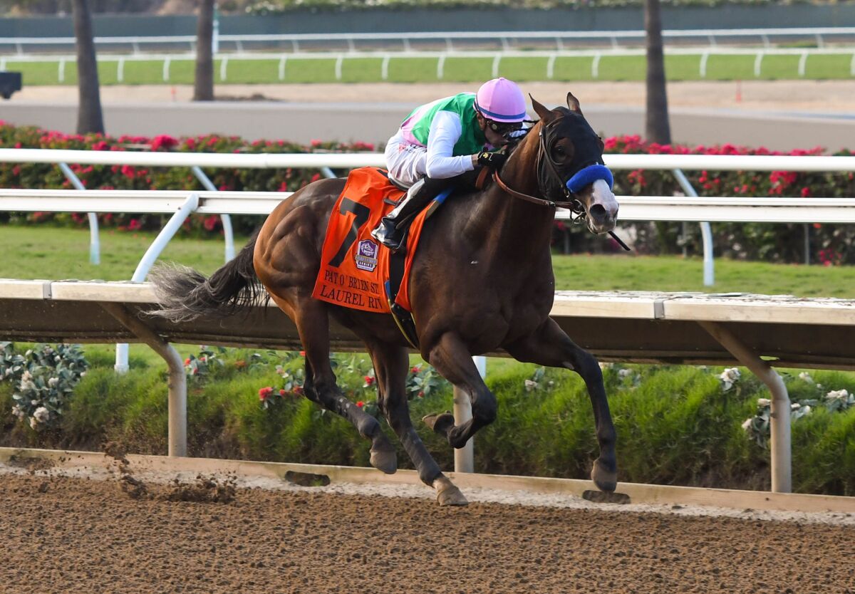 Laurel River on the way to victory at the Grade II, $252,500 Pat O’Brien Stakes on Aug. 27 at Del Mar.