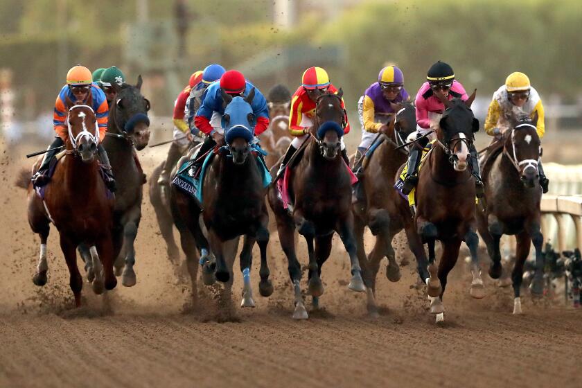 ARCADIA, CALIFORNIA - NOVEMBER 02: The field compete during the Breeders' Cup Classic race at Santa Anita Park on November 02, 2019 in Arcadia, California. (Photo by Sean M. Haffey/Getty Images)