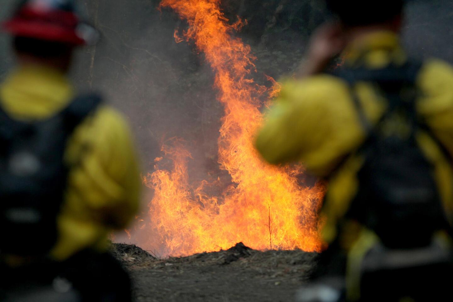 Cal Fire firefighters monitor a burning section of a wildfire on the Garzas Trail in the Santa Lucia Preserve above Carmel Valley, Calif., July 28, 2016. Firefighters struggled Thursday to get the upper hand on a massive wildfire burning along California's picturesque Big Sur coastline, where anxious residents driven from their homes awaited word on their properties and popular parks and trails closed at the height of tourist season.