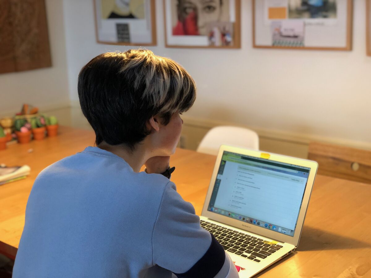 La Jolla High School junior Lilly Grunski attends an Advanced Placement class online via UC Scout.
