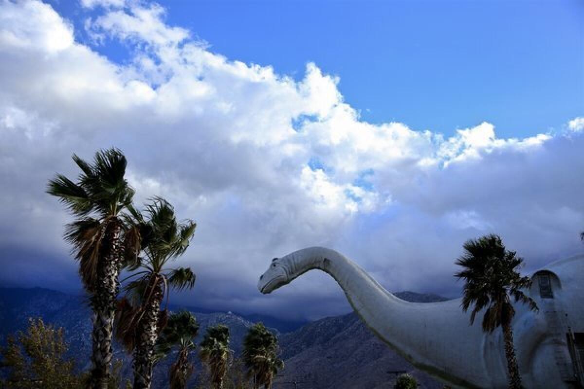 Dinny, a 150-foot long concrete apatosaurus, in Cabazon, against a backdrop of palm trees and a blue sky with white clouds.