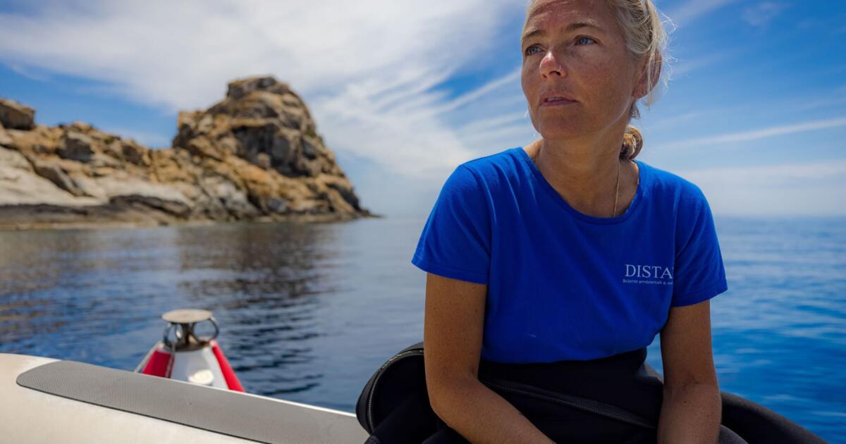 Selon le ministre italien des Affaires étrangères, des plongeurs ont découvert les corps de quatre Italiens dans une grotte marine aux Maldives.