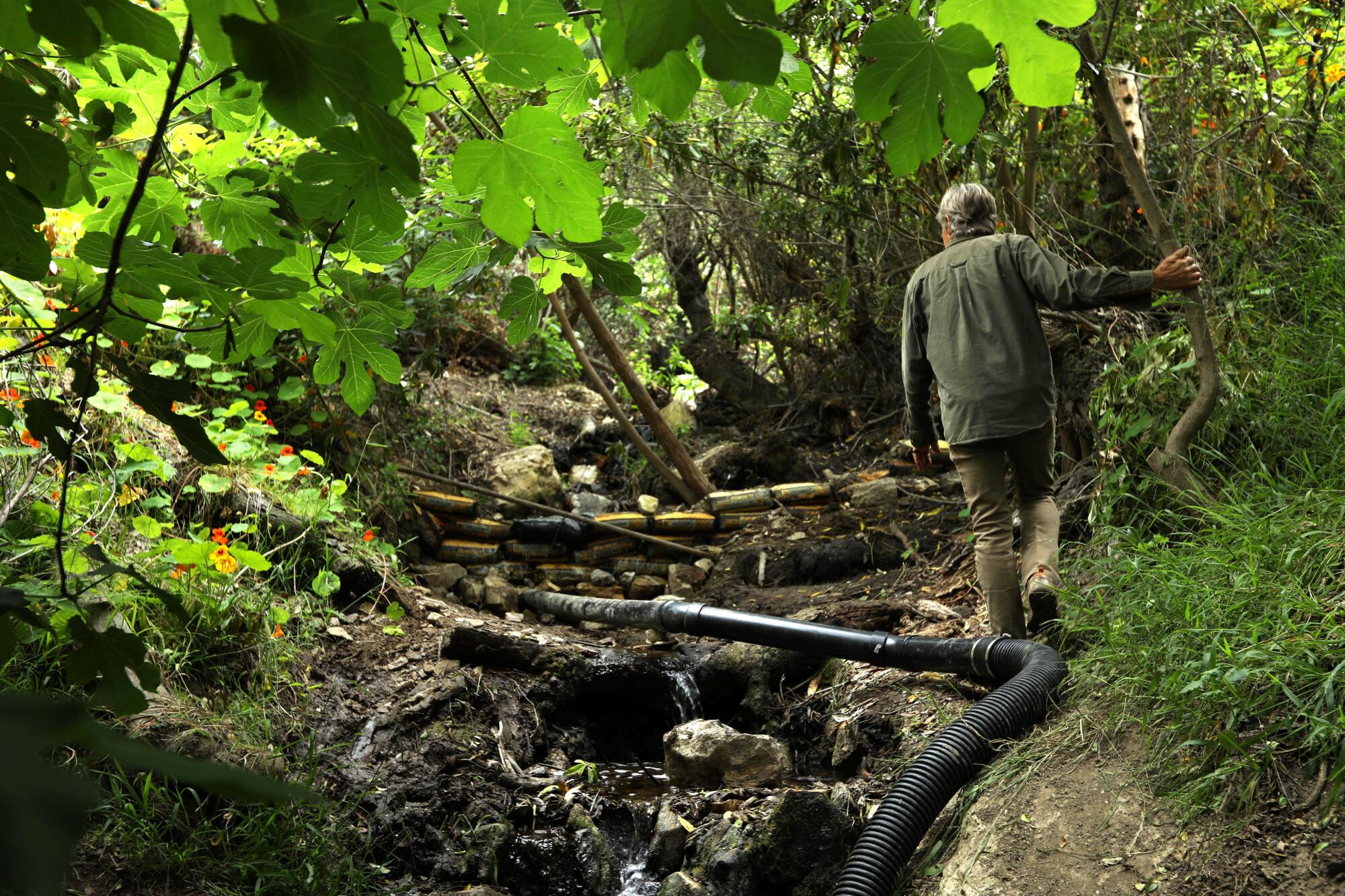 A man stands near a flexible drain pipe in a verdant area. 