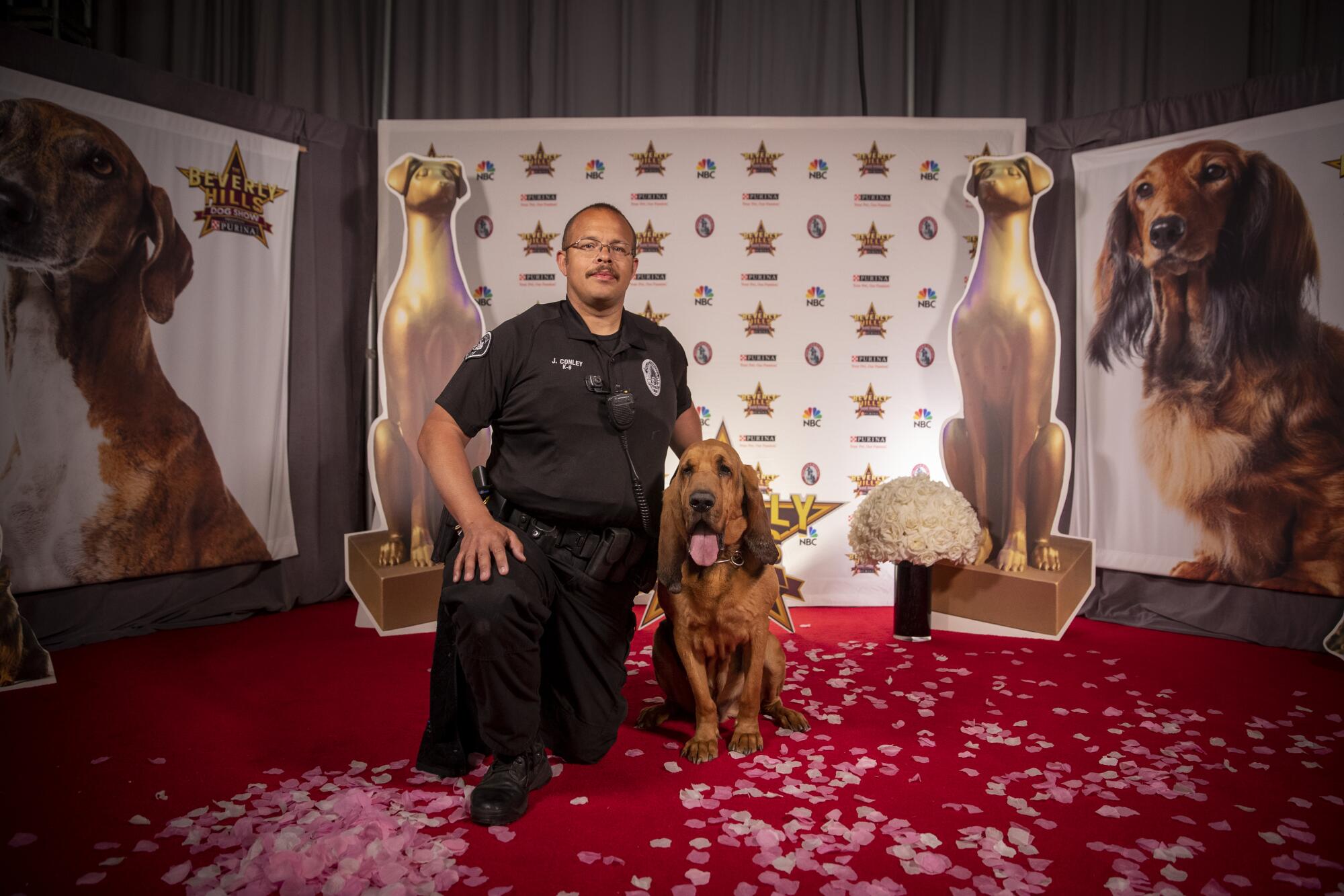Six-year-old Jax is a 100-pound bloodhound whose caregiver, Jason Conley, is a K9 officer with the Pomona Police Department.