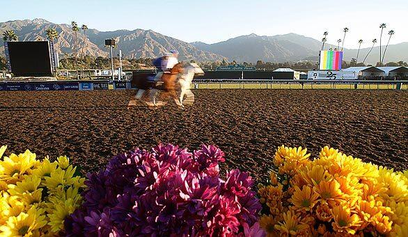 Flowers, Breeders Cup, Santa Anita,