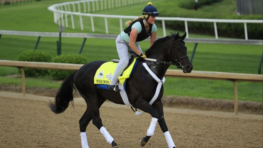 Win Win Win rulează în timpul unei sesiuni de antrenament de dimineață la Churchill Downs pe 1 mai.