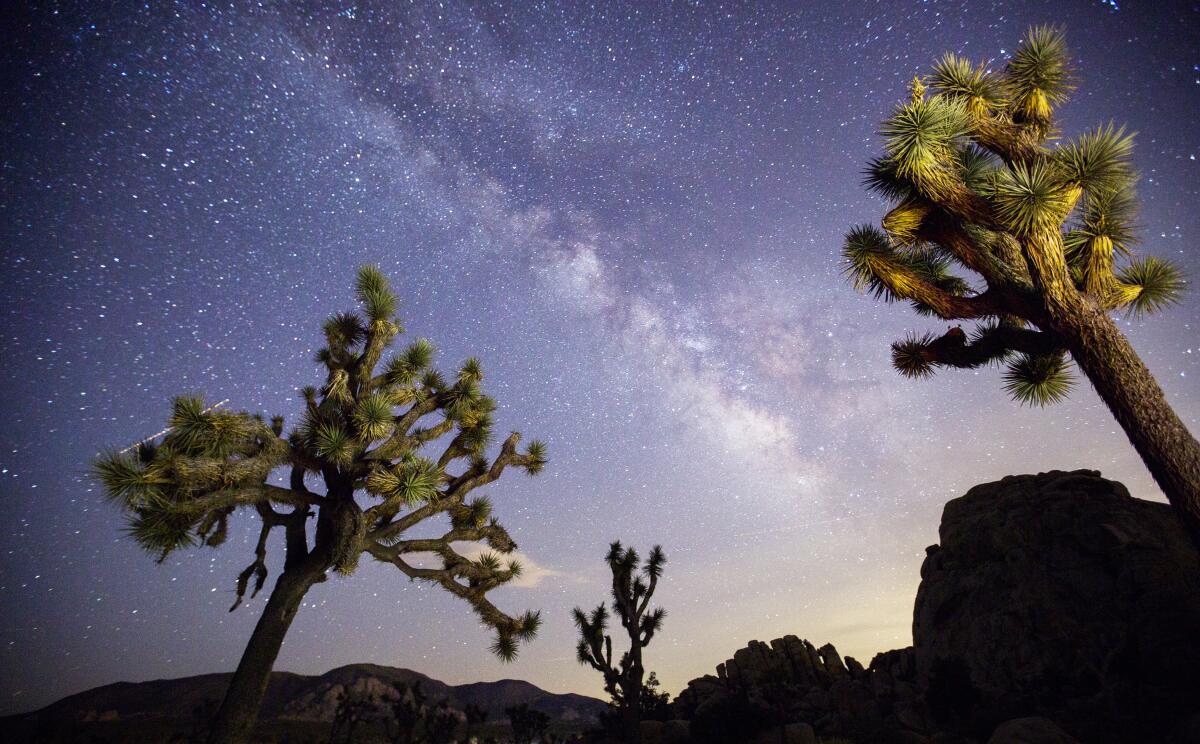 A view of the Milky Way arching over Joshua trees and rocks in Joshua Tree National Park