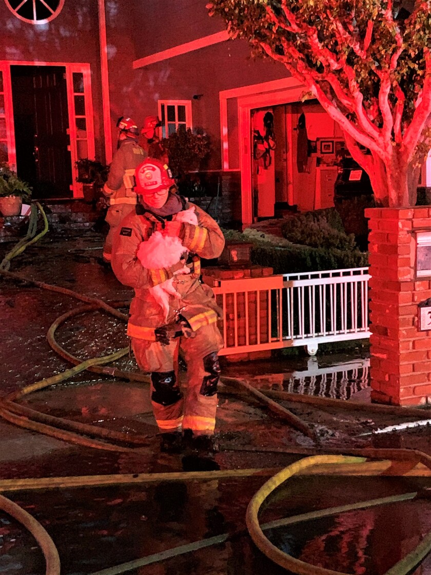 Huntington Beach firefighters rescue a cat Tuesday from a Huntington Harbour house fire.