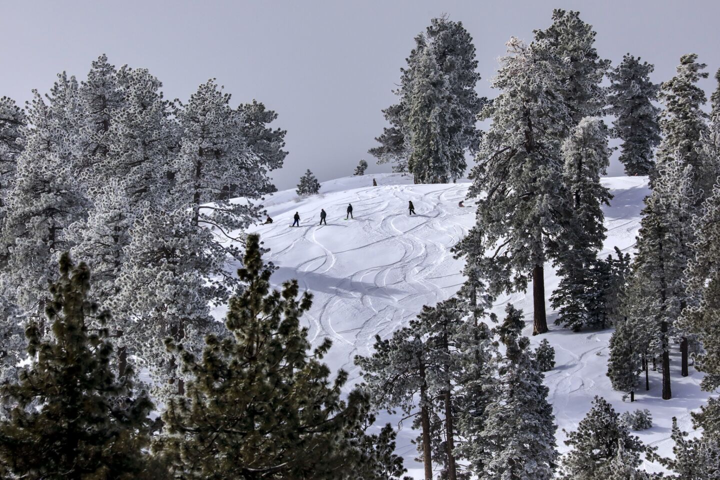 Skiers and snowboarders enjoy fresh snow Thursday at Mountain High above Wrightwood.