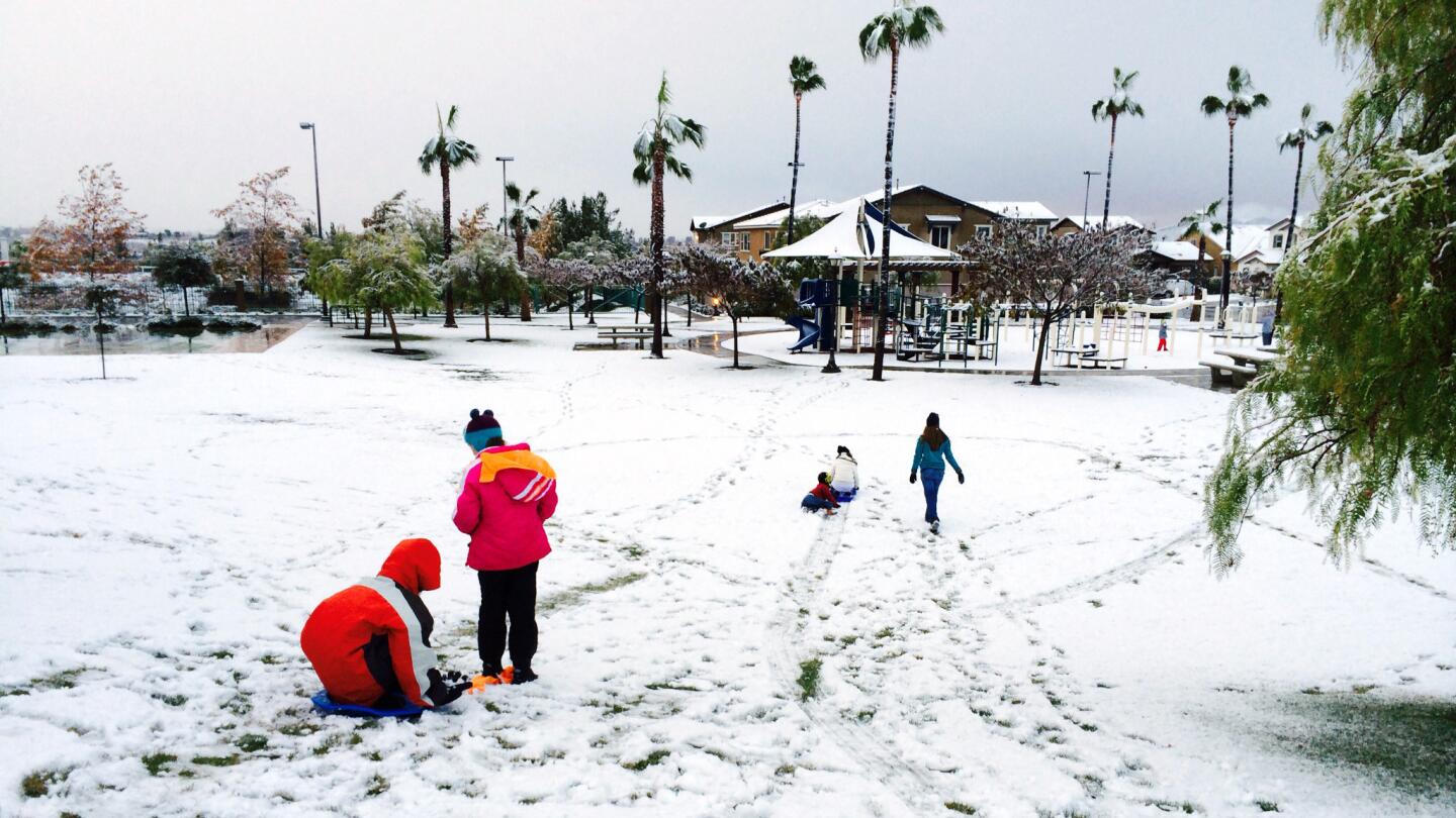 Snow in the palm trees