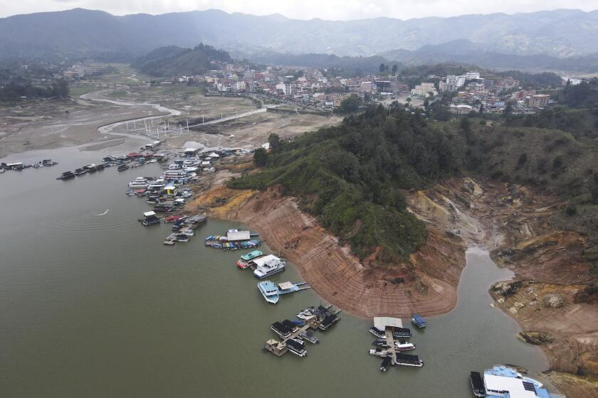 FILE - Boats sit docked around the exposed banks of the El Penol-Guatape hydroelectric dam, due to low water levels, in Guatape, Colombia, April 3, 2024. Colombia’s government on Tuesday, April 23, 2024, rolled out new incentives to reduce electricity consumption in the South American nation, which has been hit by a severe drought that has diminished the capacity of local hydroelectric plants and brought officials close to imposing power cuts. (AP Photo/Fredy Amariles, file)