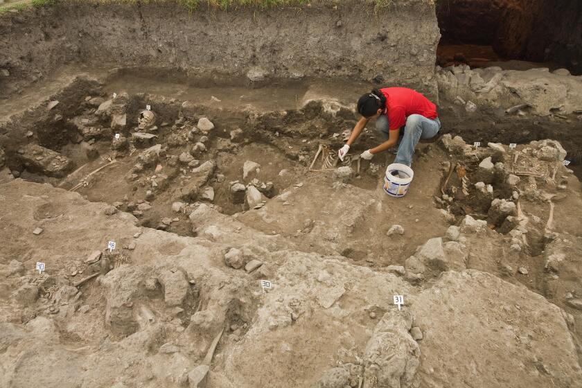 An archaeologist works on the site where a cemetery was found at Tlatelolco square in Mexico City, on February 11, 2009. A 16th century burial ground containing at least 50 skeletons and five skulls of indigenous people was found beneath a city square in Tlatelolco, according to Mexico's National Anthropology and History Institute (INAH). "The remains probably belong to victims of an uprising when Tlatelolco fell into Hernan Cortes' hands in 1521 or of the bubonic plagues of 1545 and 1576," the institute said in a statement. AFP PHOTO/Ronaldo Schemidt (Photo credit should read Ronaldo Schemidt/AFP via Getty Images)