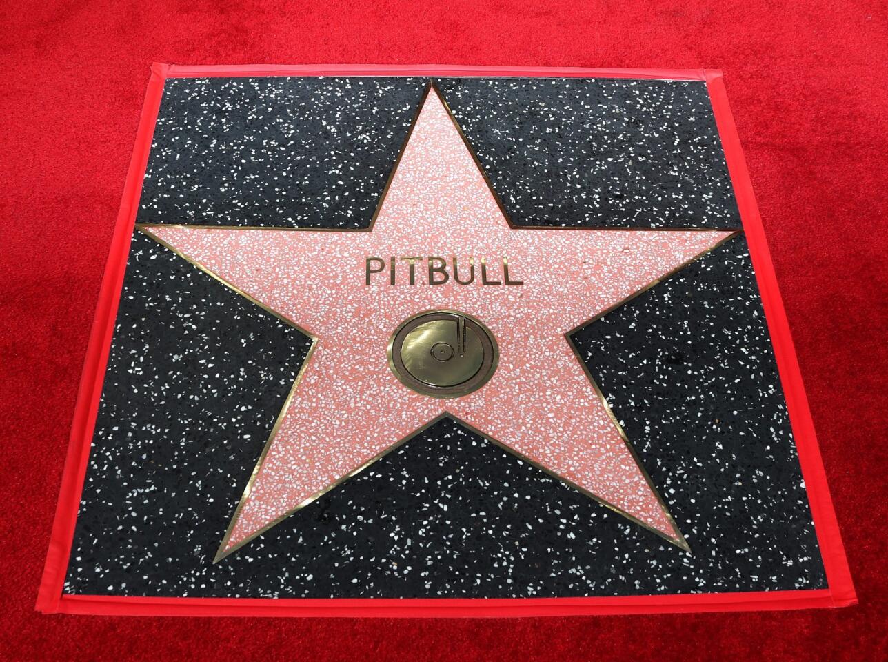 MAN06. Hollywood (United States), 15/07/2016.- The star for Cuban-American singer Pitbull is pictured after a ceremony honoring him on the Hollywood Walk of Fame, in Hollywood, California, USA, 15 July 2016. Pitbull received the 2,584th star in the Recording category. (Estados Unidos) EFE/EPA/MIKE NELSON ** Usable by HOY and SD Only **