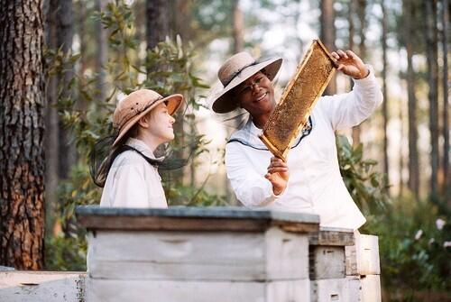 "The Secret Life of Bees" - $11.1 million