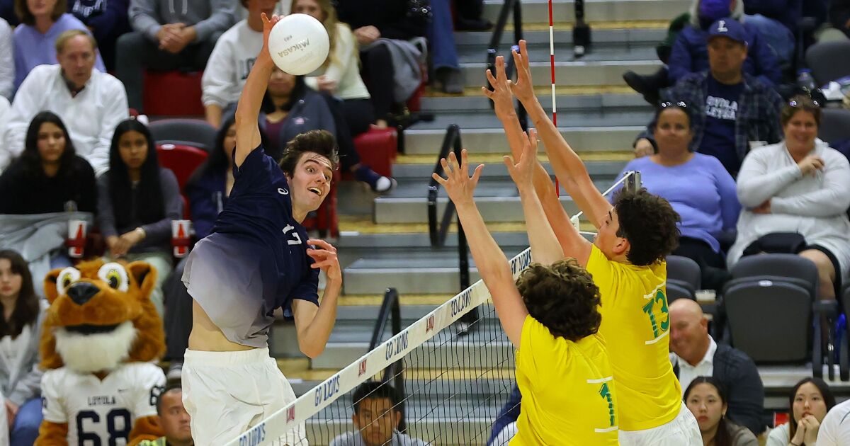 Sean Kelly et Loyola balaient leur rival Mira Costa au volleyball masculin