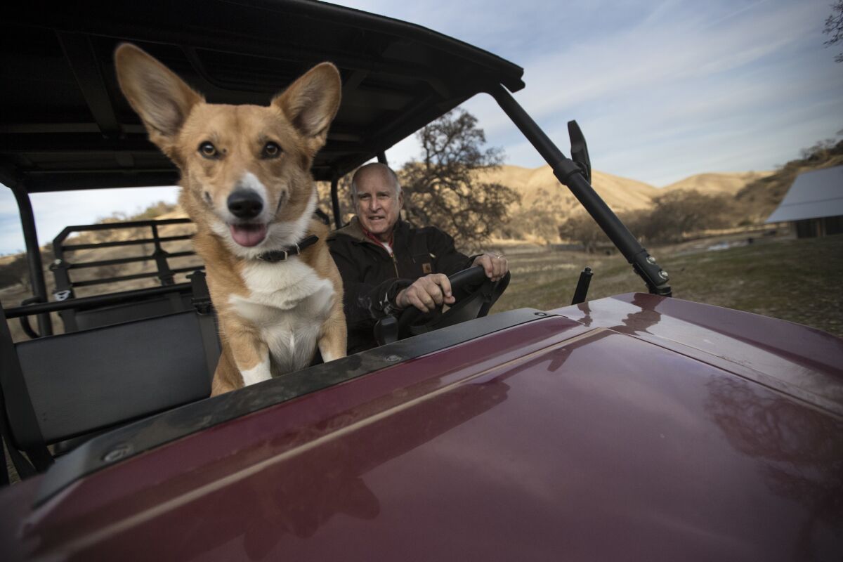 California Gov. Jerry Brown and his corgi, Colusa, ride in an all-terrain vehicle on his Northern California ranch in Colusa County.