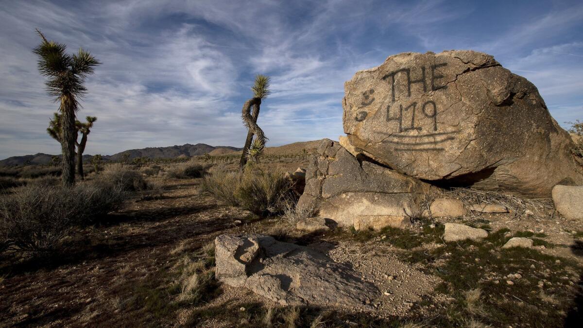 A vandalized rock in Joshua Tree National Park.