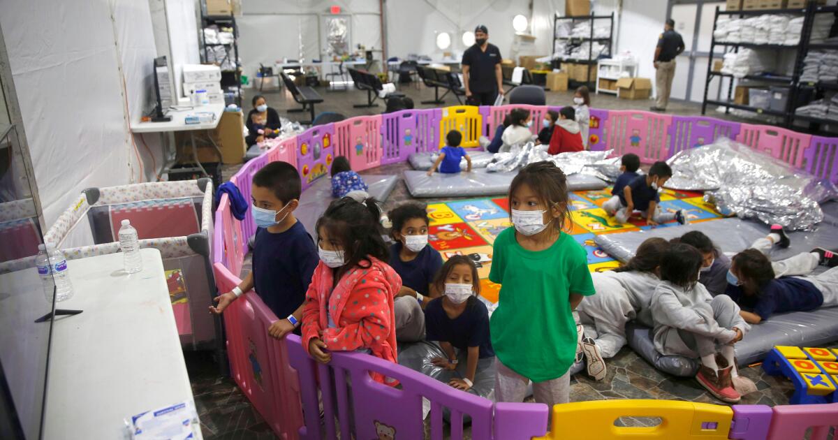 Contributor: How does a 3-year-old rent an immigration legal professional? Contributor: How does a 3-year-old rent an immigration legal professional?