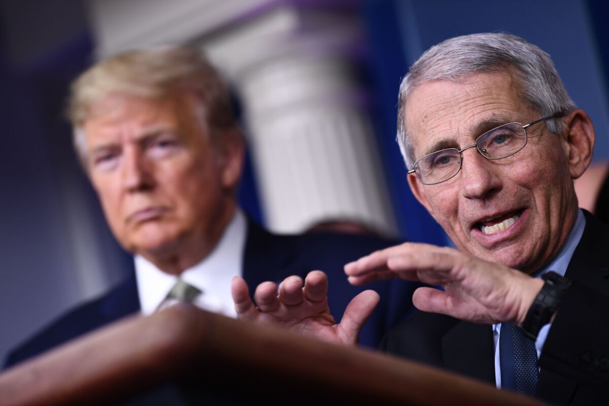 In his daily news briefings about the coronavirus, President Trump's off-the-cuff musings are in sharp contrast to the knowledgeable statements by experts such as the CDC's Anthony Fauci, right.