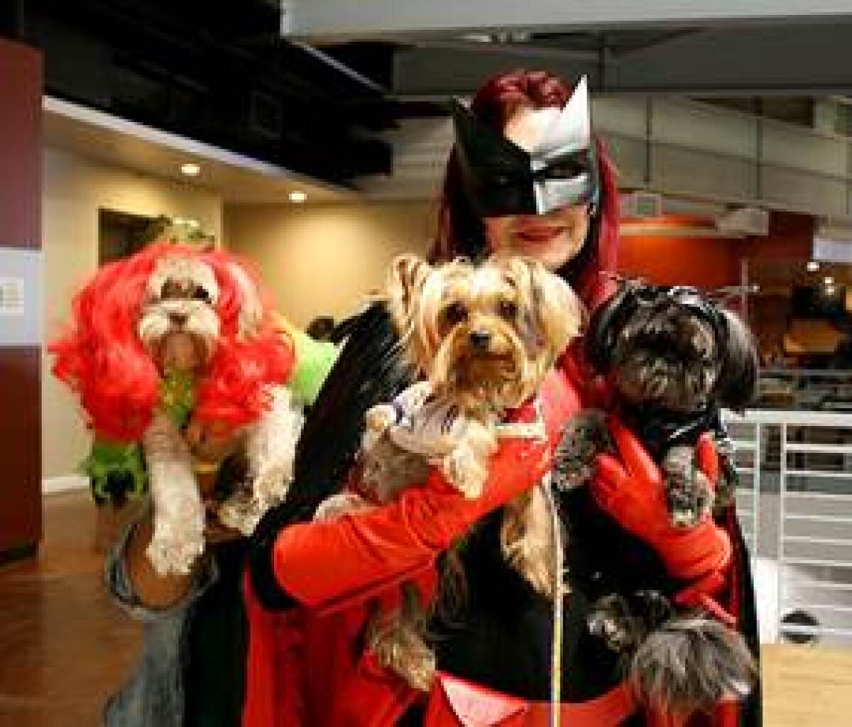 San Diego pups come out in PAWSplay apparel for last year’s PAWmicon Convention.