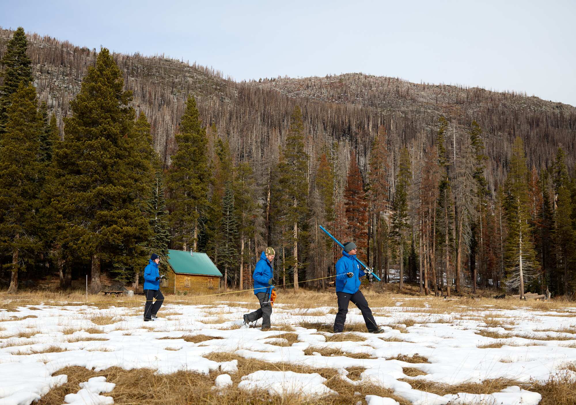 Officials walk through snow-free areas while measuring snow cover.