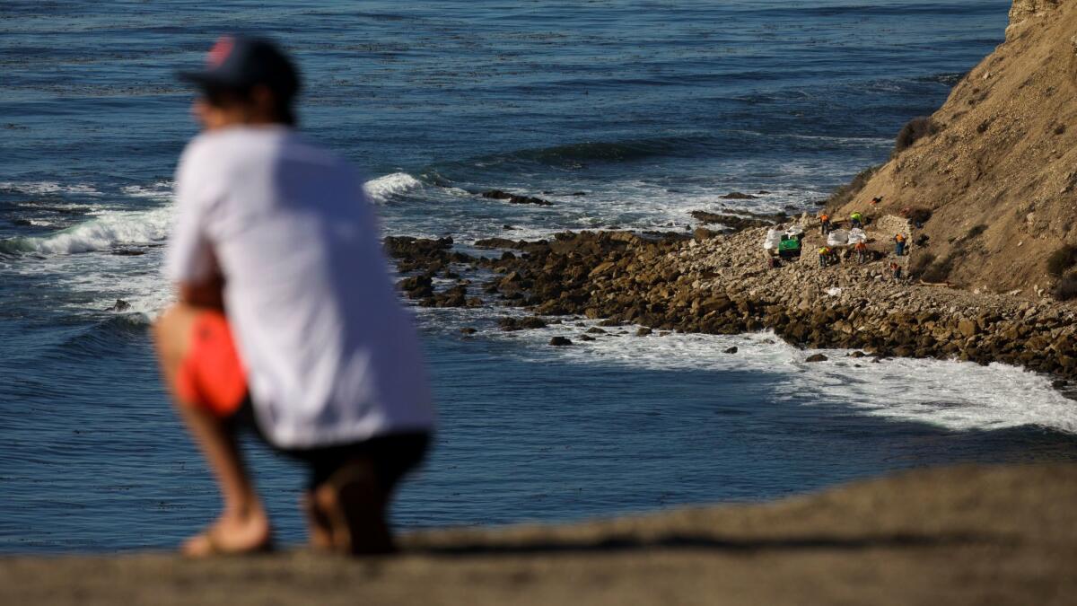 A man looks from above the bluff as city contractors demolish a patio built by local surfers at Lunada Bay.