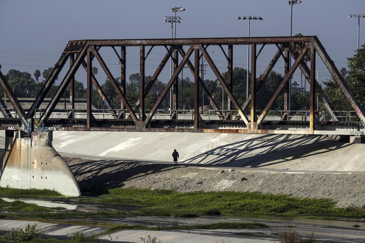 The city of South Gate plans to build a hatchery for rare native fish including arroyo chubs and genetically pure lineages of rainbow trout on a weedy expanse overlooking a concrete stretch of the Los Angeles River.