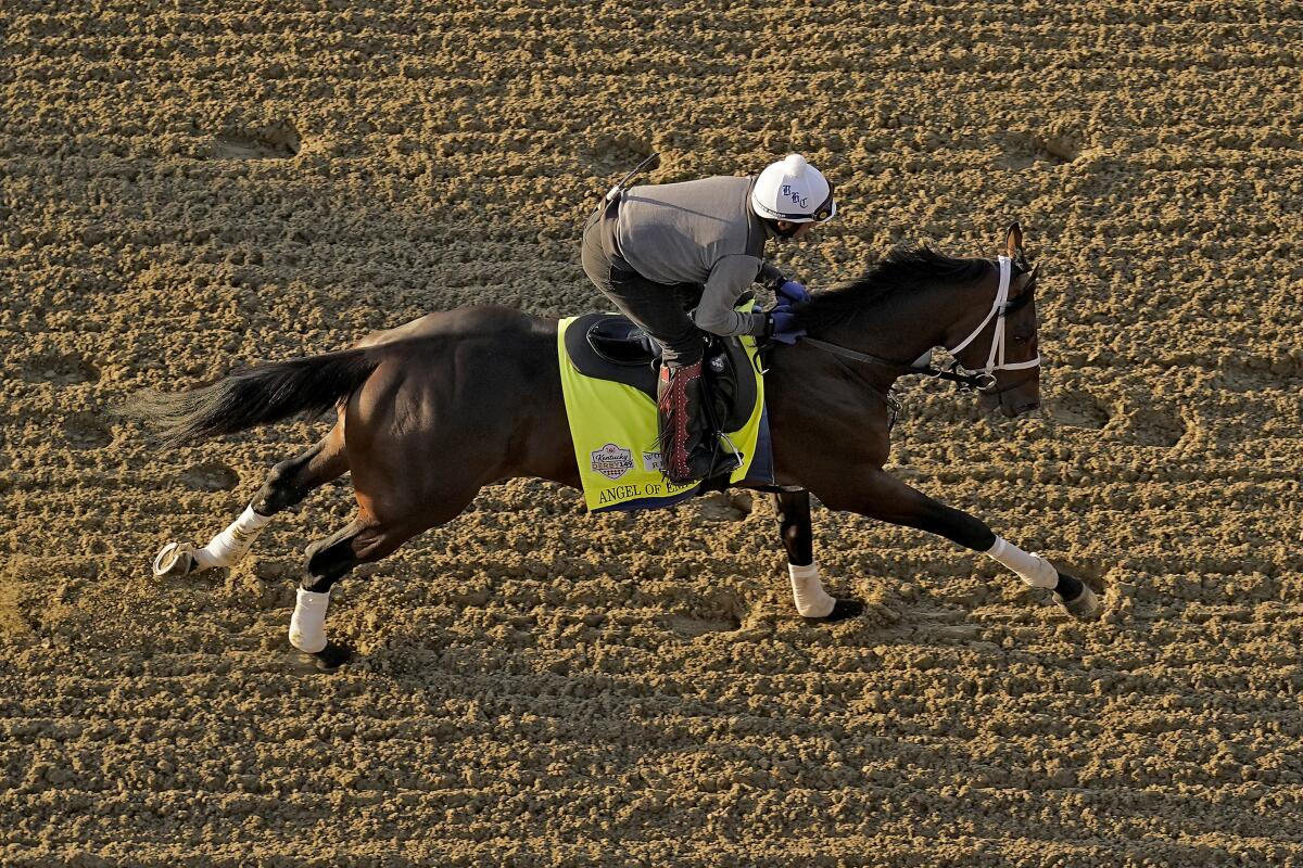 Kentucky Derby entrant Angel of Empire works out at Churchill Downs on Thursday.