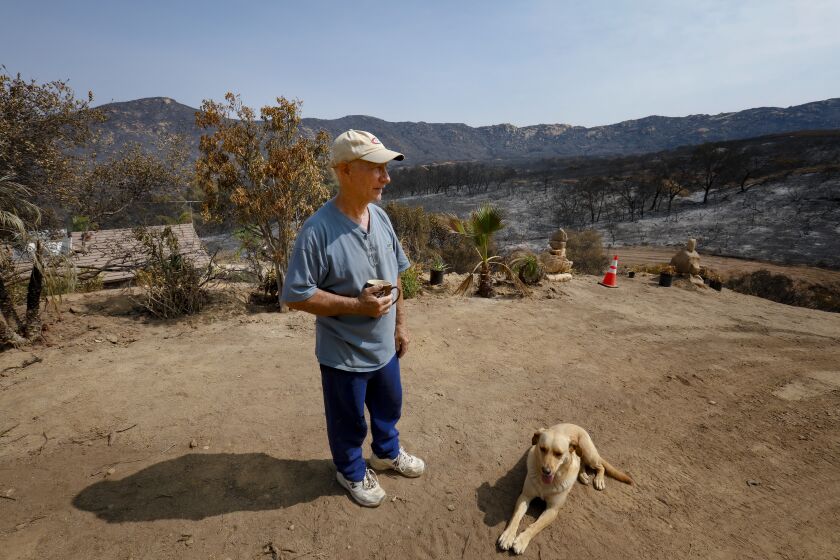 LAWSON VALLEY, CA - SEPTEMBER 12: One week after the Lawson Fire began, Jim Berke looked over the scorched hillside that's part of his property line in Lawson Valley. The Berke was among those who chose to evacuate, he believes his home was spared from the fire because of the fire break clearing he done earlier to his property. at Valley Fire on Saturday, Sept. 12, 2020 in Lawson Valley, CA. (Nelvin C. Cepeda / The San Diego Union-Tribune)