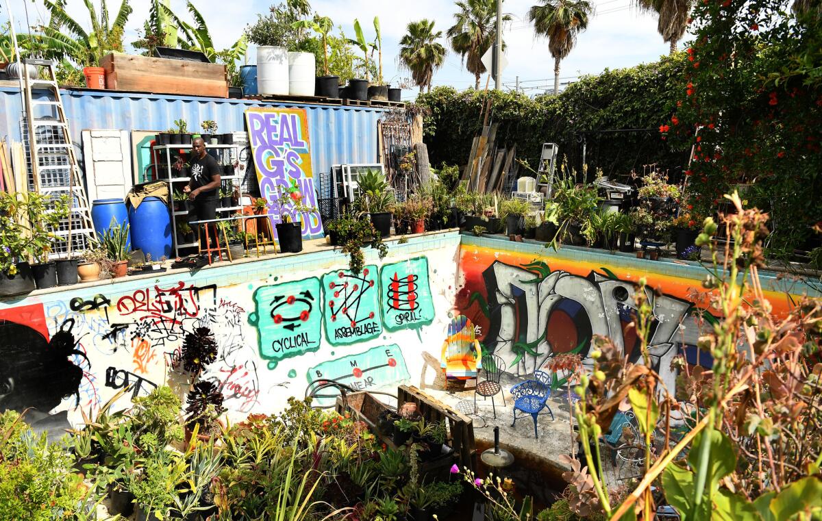 The backyard includes an Olympic-sized swimming pool full of plants and murals by one of Finley's sons.