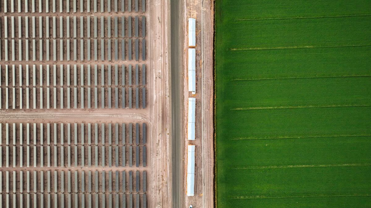 Solar panels border a farm field in the Imperial Valley.