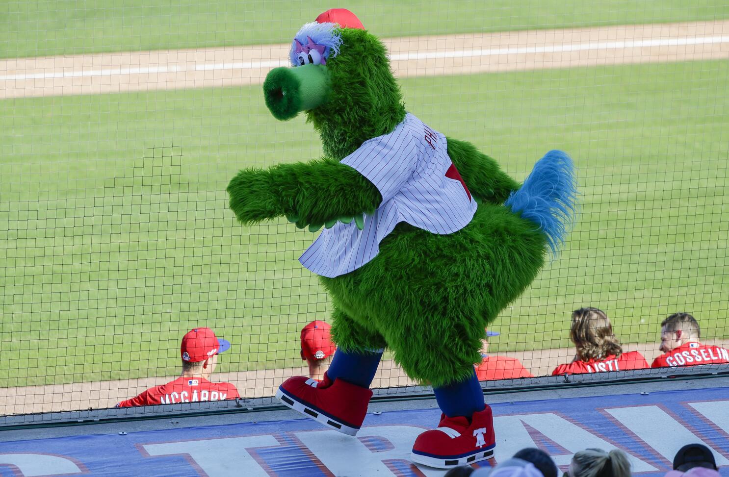 Phillie Phanatic, Mr Met, MLB mascots now permitted in parks - The San  Diego Union-Tribune