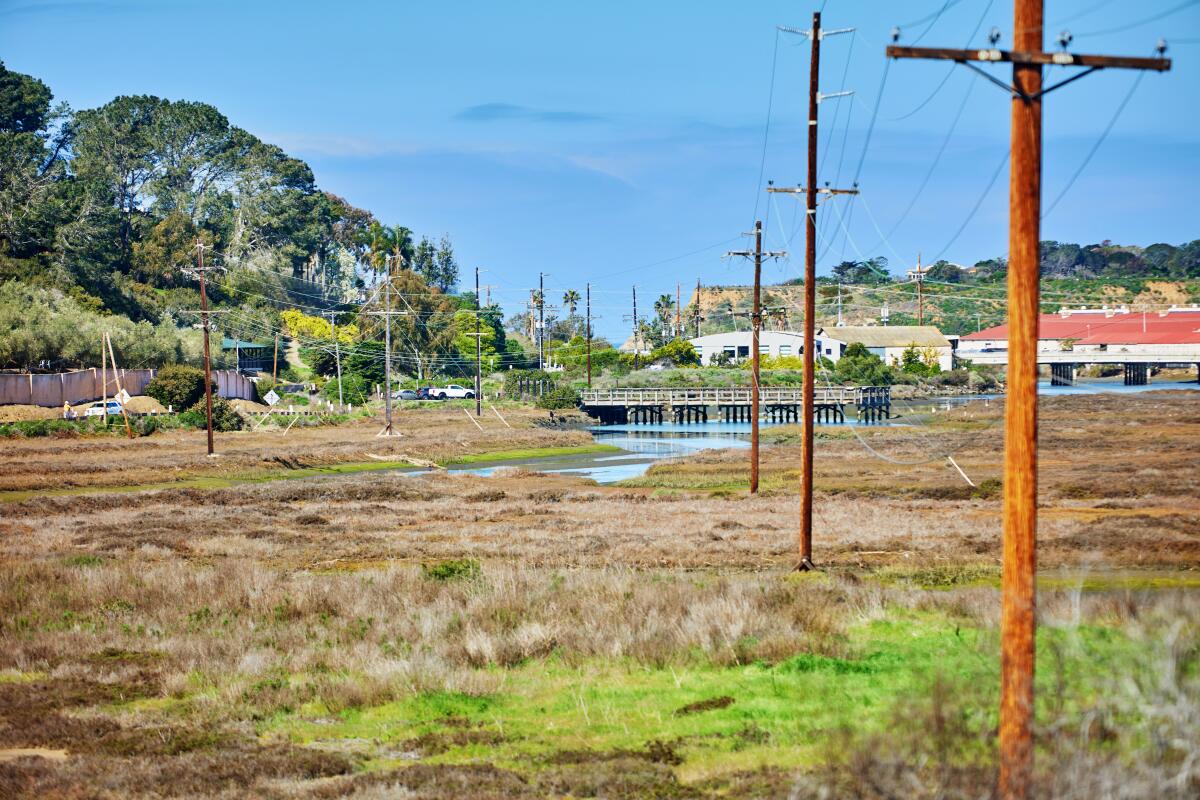 A total of 35 poles will be removed from the San Dieguito Lagoon.