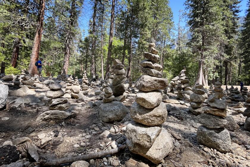 A large field of stacked rocks (cairns) along the lower Yosemite Falls trail on July 9, 2023, in Yosemite Valley. 