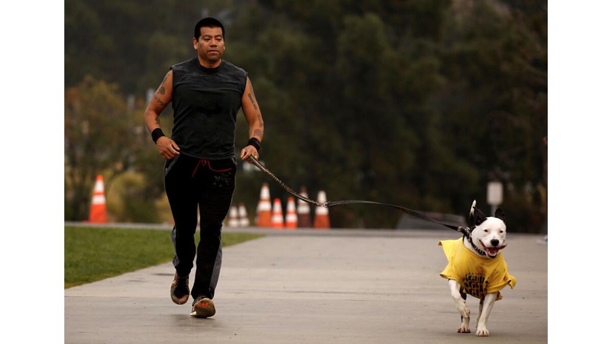 Carlos Gomez takes "Kenny" for his morning run under gray skies Monday morning at Griffith Observatory.