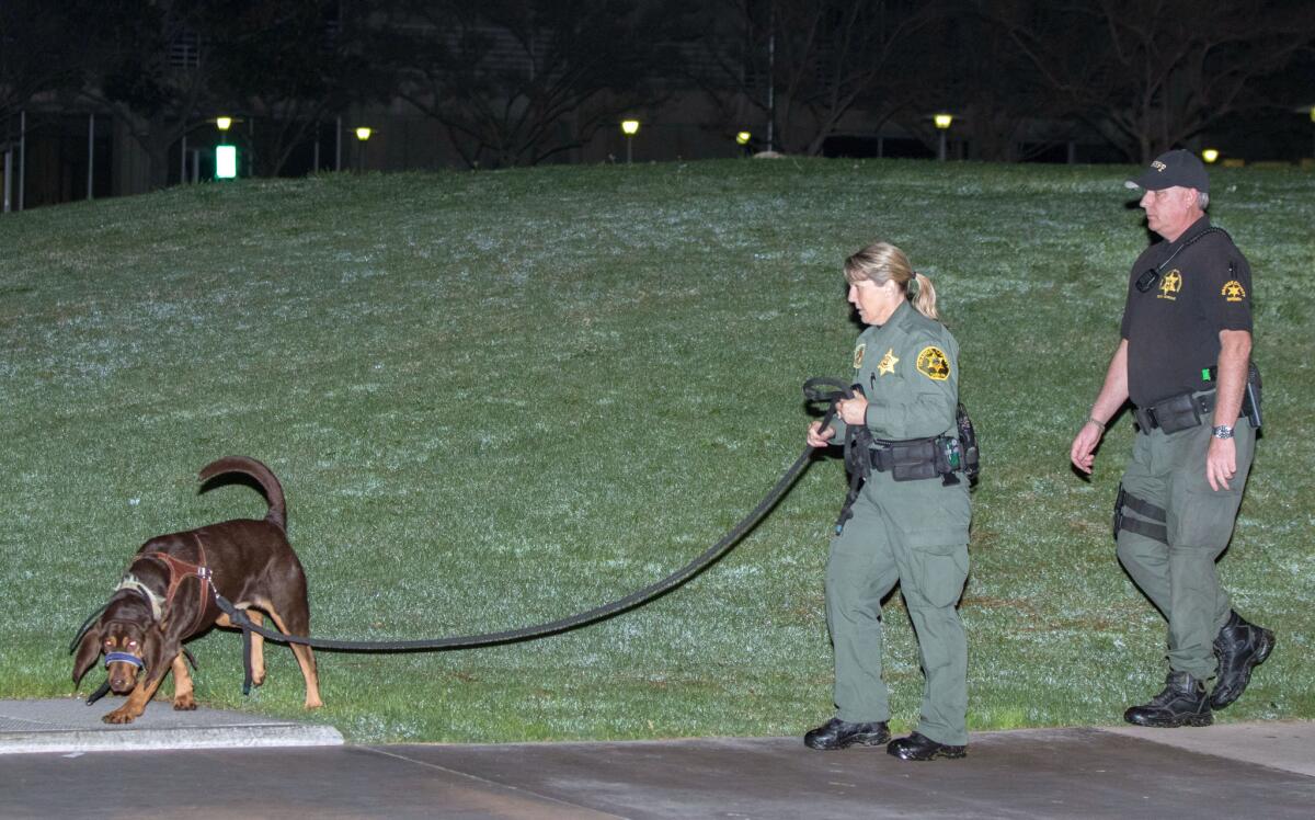 Orange County sheriff's deputies and a search dog look for the escaped inmates early Saturday.