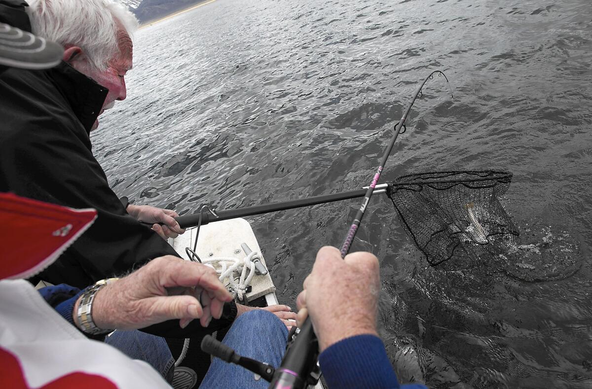 Dick Hoagland, left, lowers the net for longtime fishing buddy George Brooks during the 50th anniversary trip to the High Sierra on Crowley Lake.