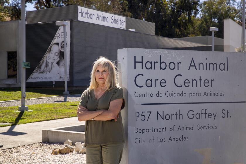 San Pedro, CA - September 20: Jan Bunker, shown in front of the Los Angeles Harbor Animal Shelter, has worked for three years at the LA Harbor Animal Shelter. She alleges that the department has no system to oversee the feeding and care of small mammals such as rabbits and guinea pigs, leaving that care to the volunteers. She said that she has come into the shelter to find the animals lacking food and water. She also said that volunteers are forced to buy food sometimes because the shelter runs out of food. She is the latest volunteer to allege inhumane treatment of the animals. Photo taken at LA Harbor Animal Shelter, San Pedro, CA on Tuesday, Sept. 20, 2022. (Allen J. Schaben / Los Angeles Times)