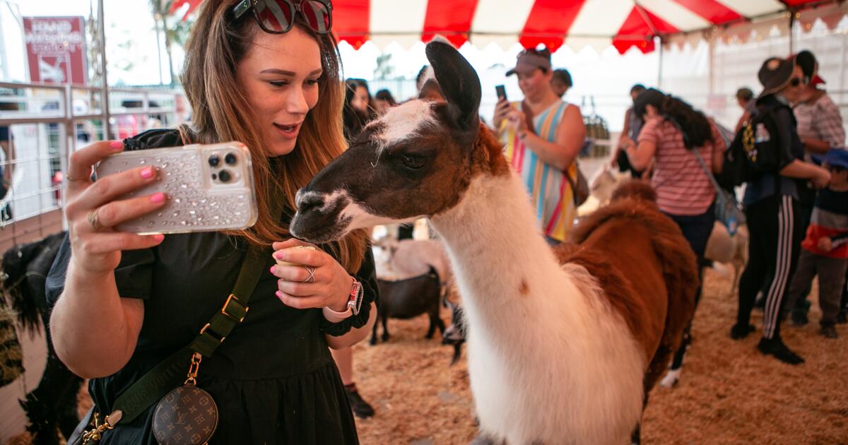 Winning 1 Million Ticket Sold at Orange County Fair Fatoftheland