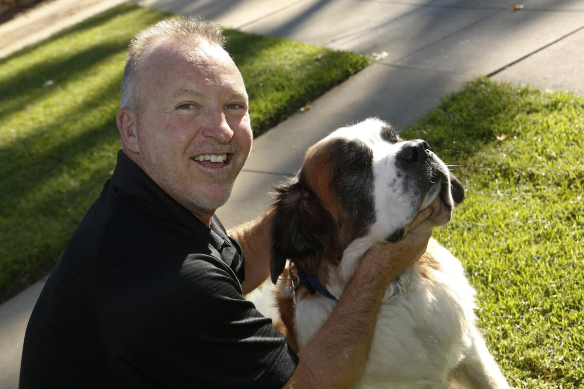 Occidental College football Coach Doug Semones hangs out with his St. Bernard rescue dog, Helen.