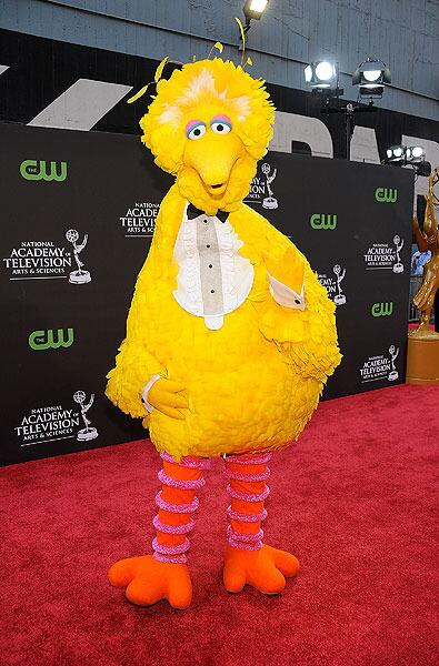 Big Bird arrives at the 36th Annual Daytime Emmy Awards at The Orpheum Theatre on August 30.