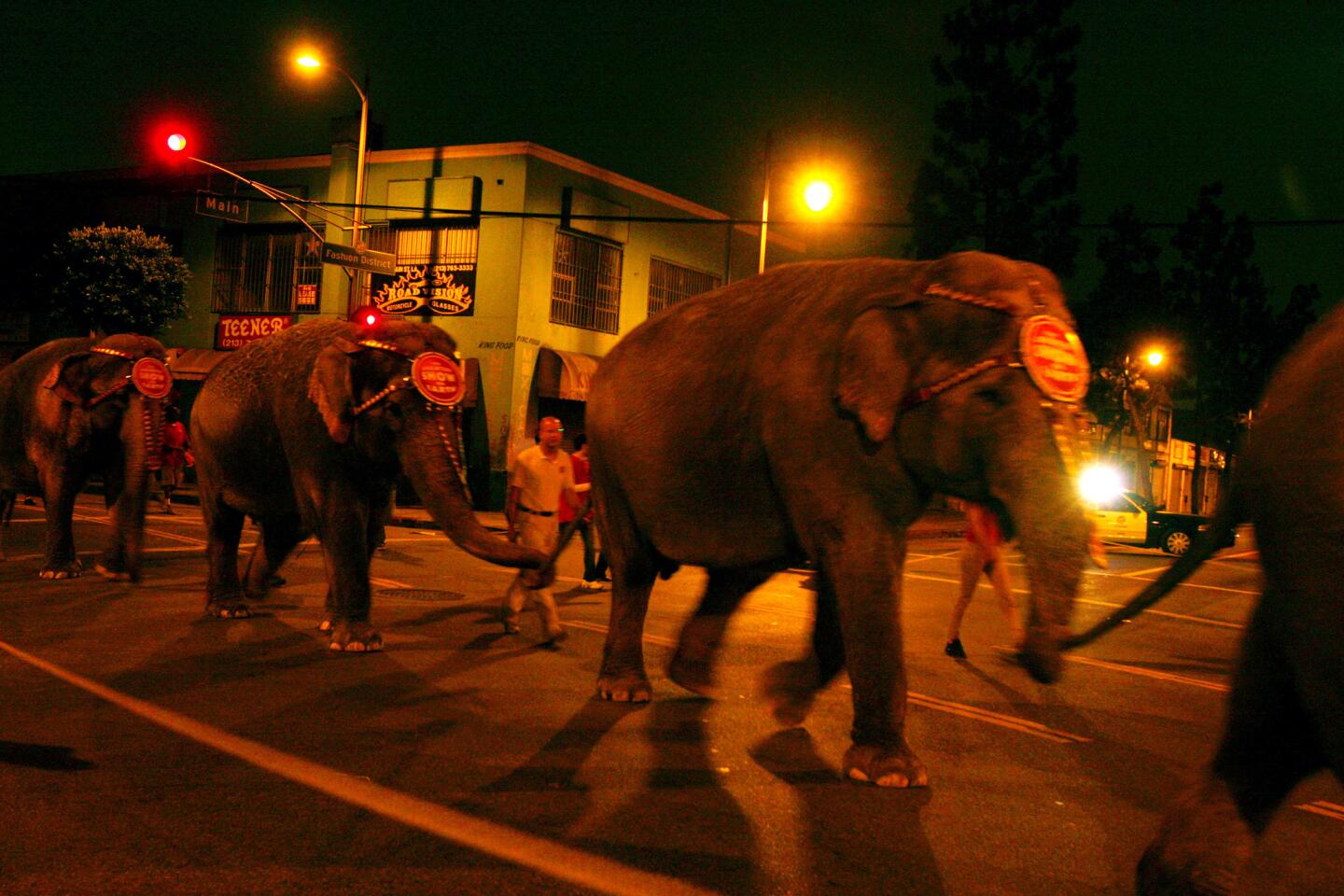 Ringling Bros. and Barnum & Baily Circus unloads about a dozen elephants from a train to walk them to Staples Center in 2009.