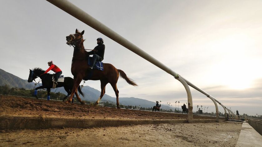 Riders and horses returned to training on the Santa Anita Park track on Monday after a string of horse deaths. Another horse died Thursday.