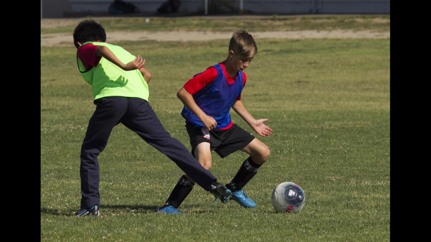 Kyle D'Alessandro of the Davis Magnet Elementary School's boys' 5-6 Gold Division team makes a move during a scrimmage from Our Lady Queen of Angels team. Davis Magnet Elementary has won the past two Daily Pilot Cup championships. Davis returns five from last year's team.