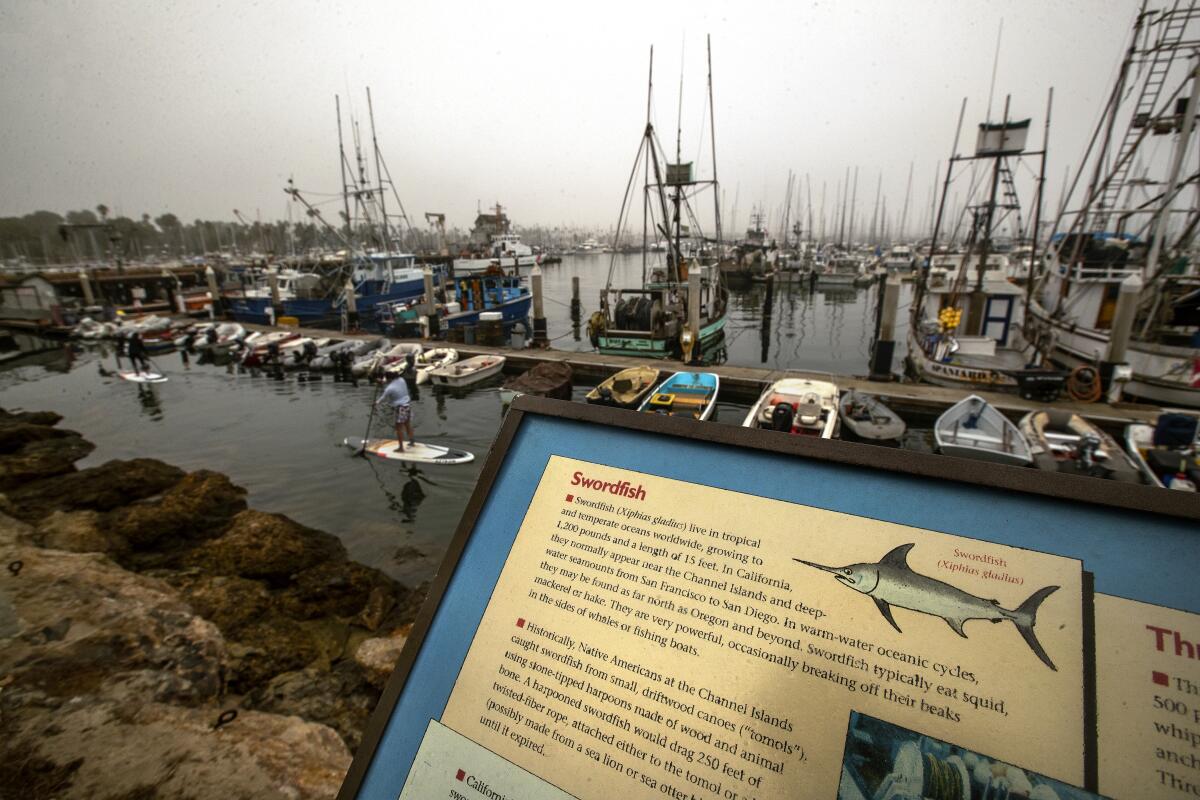 A sign at the Santa Barbara Harbor gives facts about swordfish 