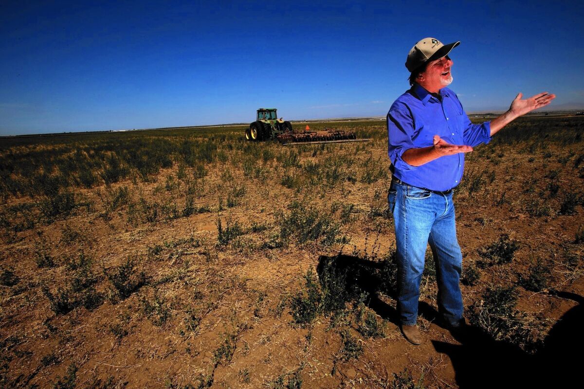 In the Central Valley, farmer Larry Starrh hopes native Rep. Kevin McCarthy will be able to diffuse the Republican uprising in Congress that led to Speaker John A. Boehner's departure.