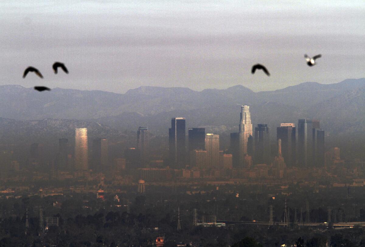 Downtown Los Angeles is viewed from Hilltop Park in Signal Hill.