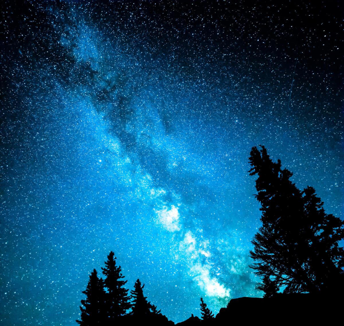 Milky Way Galaxy silhouetted against trees in Great Basin National Park, Nevada.