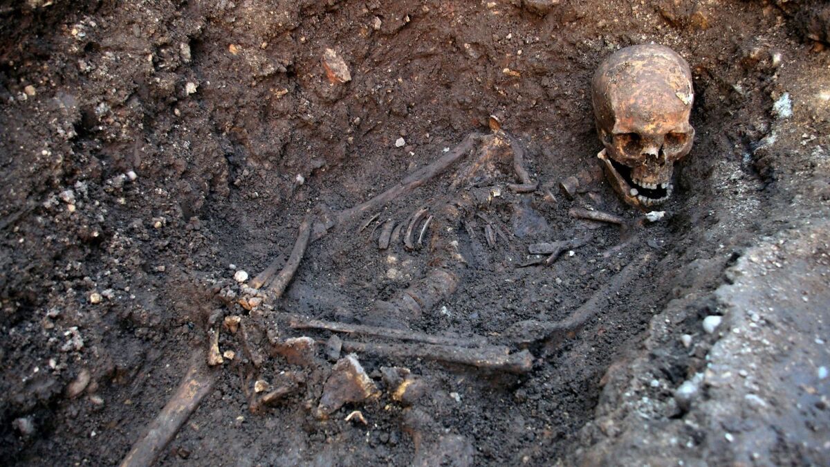 King Richard III's bones were found under a parking lot in Leicester, England.