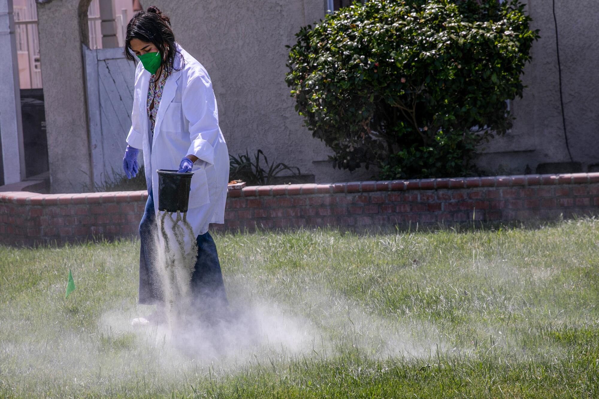 A woman in a mask and lab coat uses a small bucket to dust a home’s frontyard with a powdered mineral.